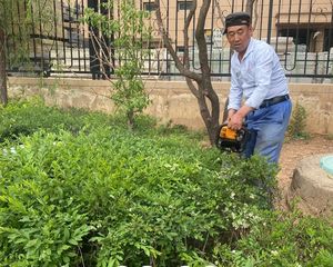 品牌装修,中间楼层,无遮挡全天采光,交通方便,