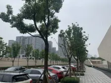 融创玻璃幕墙大平层,出则繁华,入则宁静