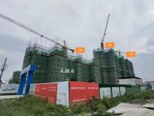 大横厅双阳台好楼层包增值税