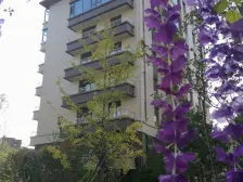 精装修 三居室 随时看房 东边户 中间楼层