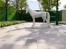 临广环湖,保利天珺,南向看湖,全新未住