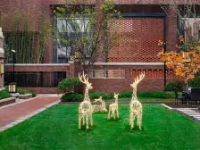 三环内的叠加洋房,小区环境好 业主诚心卖 急出