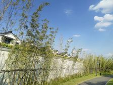 环境优美依山傍水适合居住适合小镇生活田园耕读