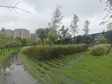 上城院子丨南北通3房丨户型正气丨采光好丨业主诚售