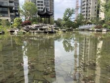 碧桂园三房一卫精装修,业主在深圳发展,房子闲置