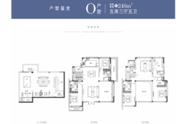 日照山海湾5室3厅1厨5卫建面248.00㎡