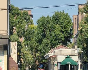 都市府邸3室2厅0卫南