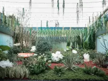 科技城·保利和光山语·4室·2厅