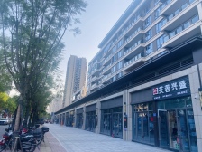 端户三房双卫 次新小区 近地铁 近嘉陵江边