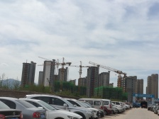 碧桂园凤凰城 2室2厅 南 北