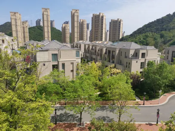 大华诺斐墅