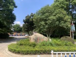 清枫公园