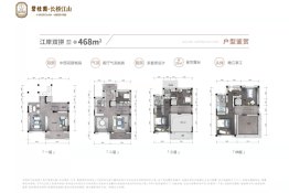 碧桂园·长桥江山5室3厅1厨4卫建面468.00㎡