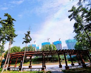 视野很好怕有噪音的看过来135平大3房房东诚心出售