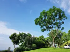 礼嘉 华侨城翎屿五房560万