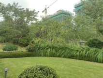 鲁信盤谷花园项目在建工地