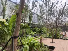 龙湖物业,品质房,高4米8,二层,一门两户,总价低