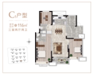 116平三室两厅两卫 C1户型