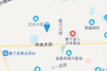金泰·悦城电子地图