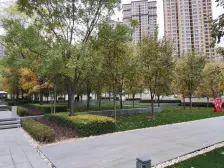 采光充足,配套设施齐全,交通便利。