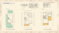 C01-03户型