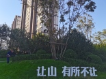 小区环境实景图