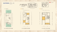 C02-02户型