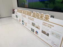 南向望花园 电梯中层采光好 全新装修没住过