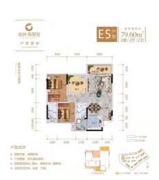 龙洲翡翠湾2室2厅1厨2卫建面79.60㎡