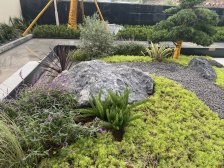 户型方正 视野开阔 采光充足 品质小区