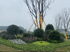 房型方正,看房方便,品质小区,配套齐全