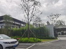 坐拥天然的别墅配套加金西湖自然景观