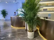 纯洋房社区 带车位一起出售 随时可以看房