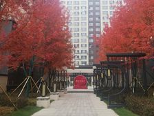 一跃二 两层 花园 五室三厅三卫 双车库