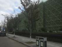 绿城·晓风印月花园项目楼栋实景图
