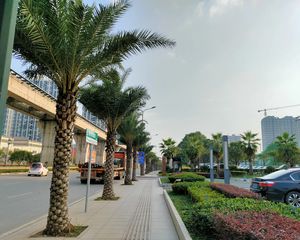 紫鑫中央广场(长沙县)1室1厅南