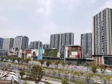 东渡悦都荟 1室1厅 东 西 北