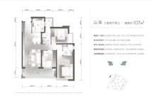 万科 · 公园城市「山河万里」山峯107户型