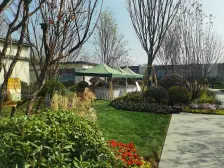 中央公园霸榜,87万买洋房 3房 97万买4房 精装现房