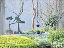 顶跃,大开发商,品质好,配套成熟。