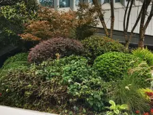 央企新小区,清水三房,户型方正,小区配套齐全