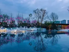 两江新区生态城,集中供能,次新房 朝中庭 住家安静