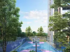 大横厅 长阳台 电梯入户还带露 台