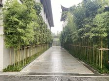 宜阳君河湾大三室户型方正,品质小区,小区绿化好
