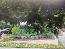 银翔城 3室2厅 南