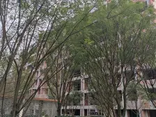 渝北体育馆海成次新房电梯洋房三房临轨道配套成熟