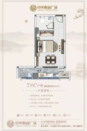 中央财富广场1室1厅1厨1卫建面54.04㎡