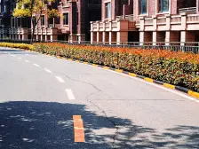 国企开发 联投梧桐郡 联排别墅 大花园