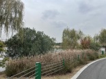虎丘湿地公园