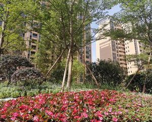 花曼沁园四房二厅南北通透中楼层业主诚意出售